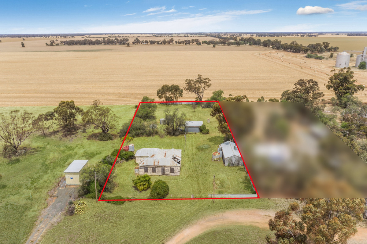 1667 Dingee Road, Diggora VIC 3561, Diggora - Thumbnail 2