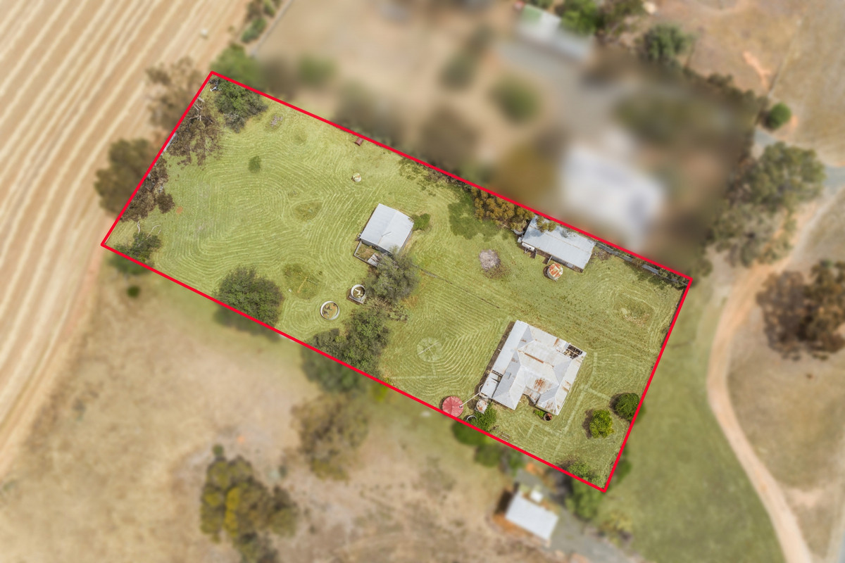 1667 Dingee Road, Diggora VIC 3561, Diggora - Thumbnail 3
