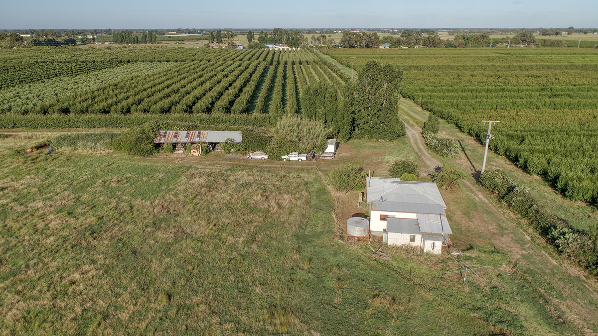 170 Boundary Road, Shepparton East VIC 3631, Shepparton East - Thumbnail 4