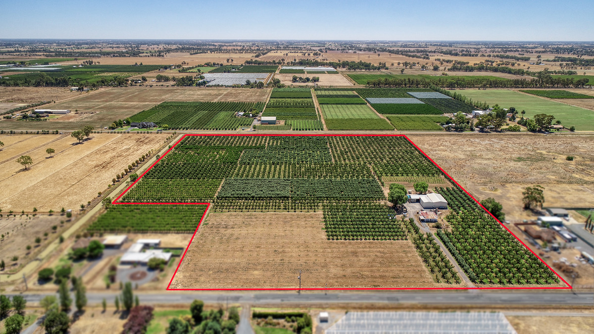 645 New Dookie Road, Lemnos VIC 3631, Lemnos - Thumbnail 6