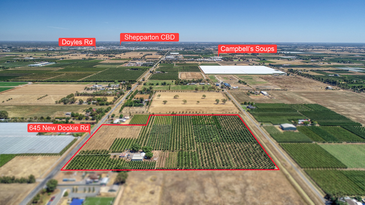 645 New Dookie Road, Lemnos VIC 3631, Lemnos - Thumbnail 2