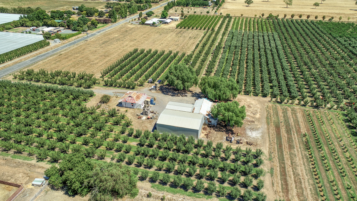 645 New Dookie Road, Lemnos VIC 3631, Lemnos - Thumbnail 7