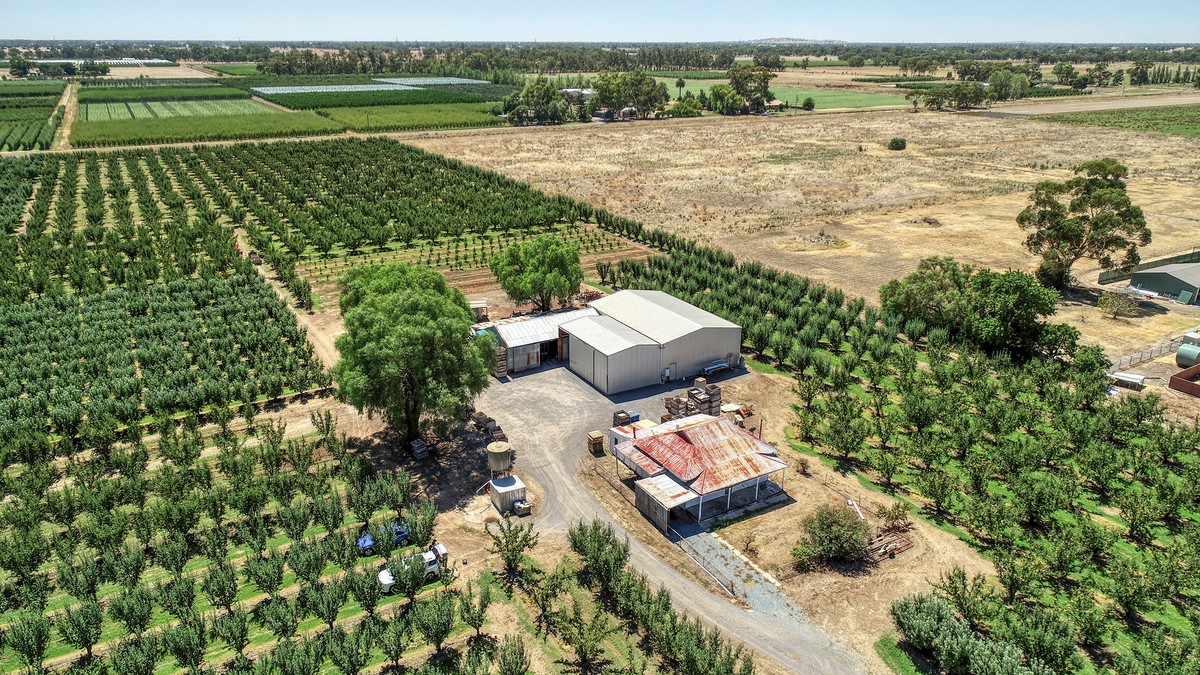 645 New Dookie Road, Lemnos VIC 3631, Lemnos - Thumbnail 8