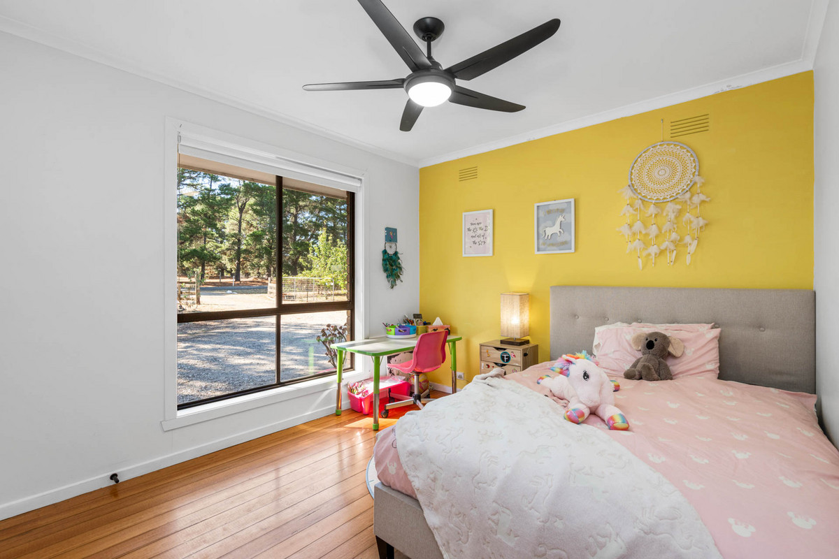 19 Tolson Street, TEESDALE VIC 3328, Teesdale - Thumbnail 8