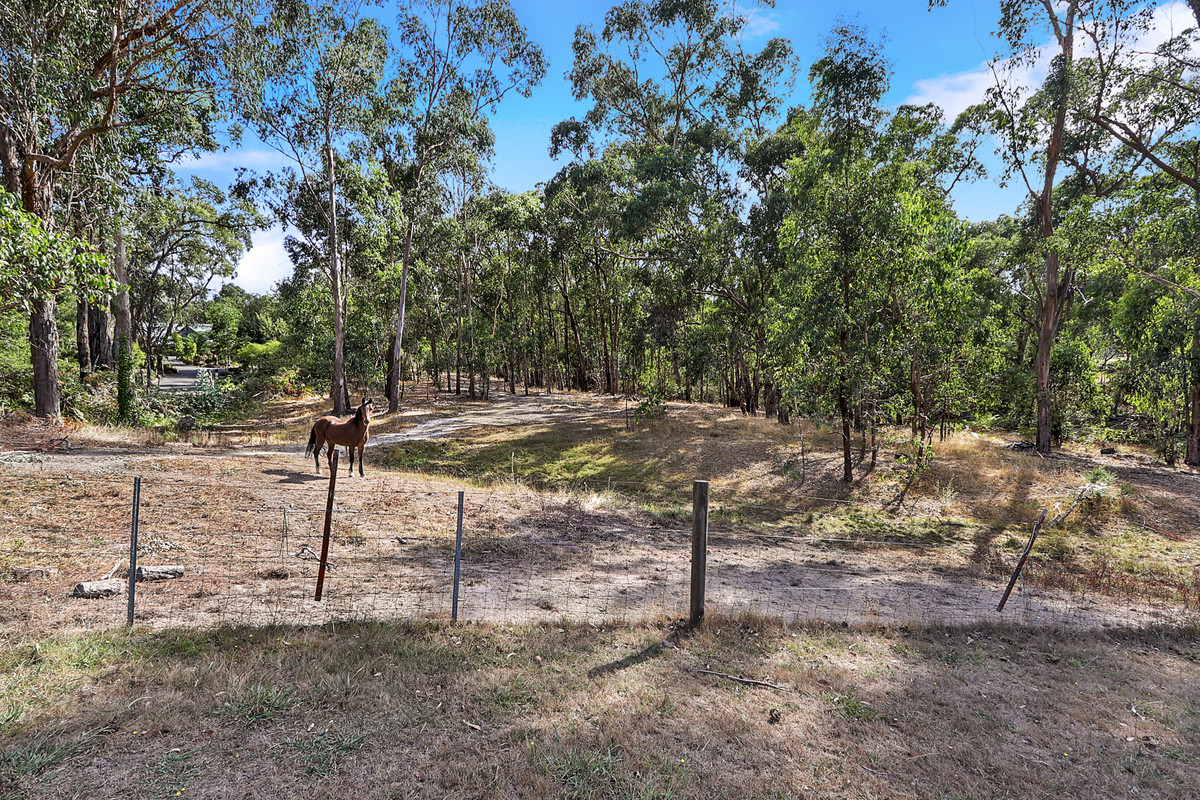 283 Cambridge Road, Mooroolbark VIC 3138, Mooroolbark - Thumbnail 7