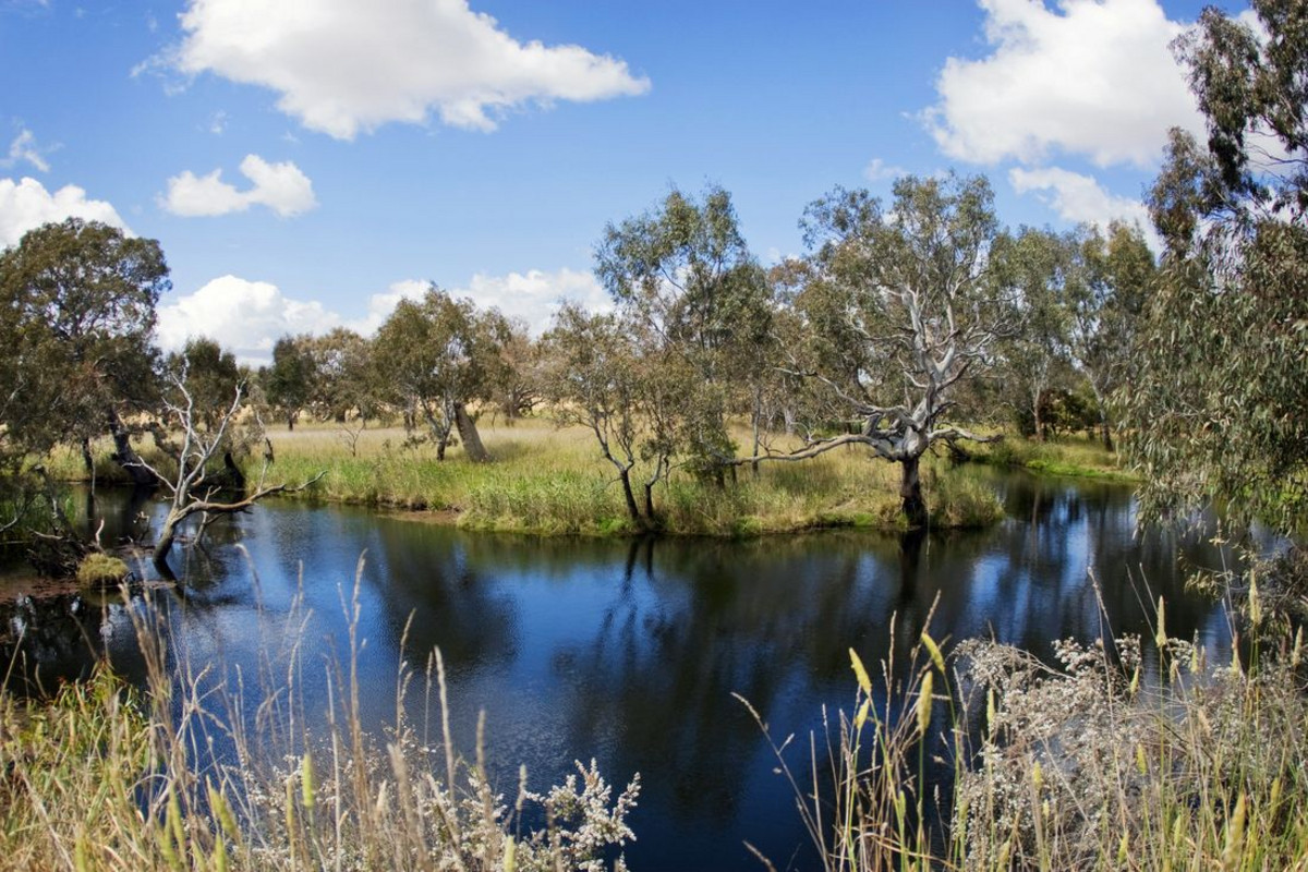 90 Savage Drive, Inverleigh VIC 3321, Inverleigh - Thumbnail 5