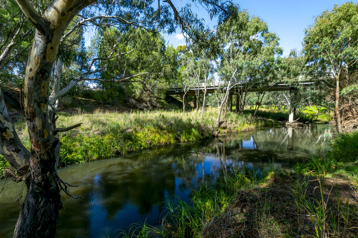 90 Savage Drive, Inverleigh VIC 3321, Inverleigh - Thumbnail 6