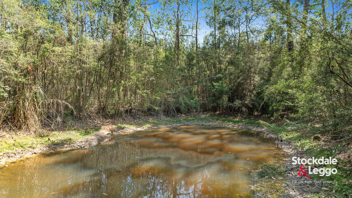 130 Todds Road, BOOLARRA VIC 3870, Boolarra - Thumbnail 4