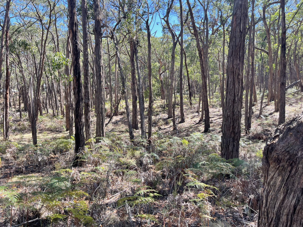 Lot 3 Pittong-Snake Valley Road, Snake Valley VIC 3351, Snake Valley - Thumbnail 8