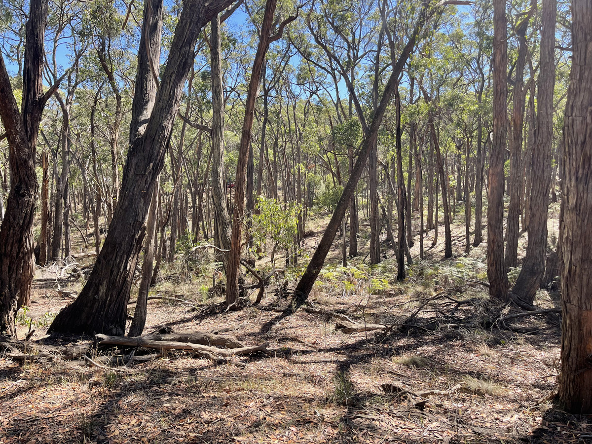 Lot 3 Pittong-Snake Valley Road, Snake Valley VIC 3351, Snake Valley - Thumbnail 7