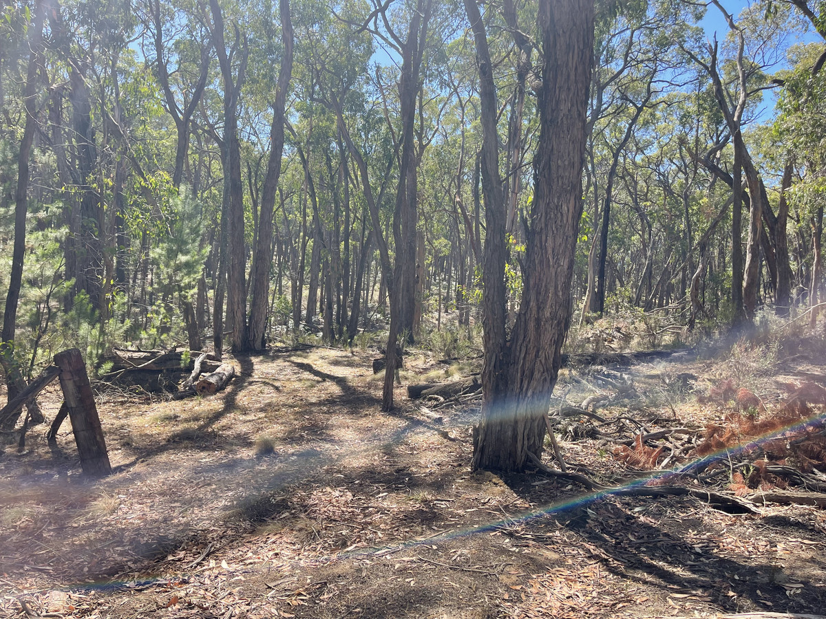 Lot 3 Pittong-Snake Valley Road, Snake Valley VIC 3351, Snake Valley - Thumbnail 4