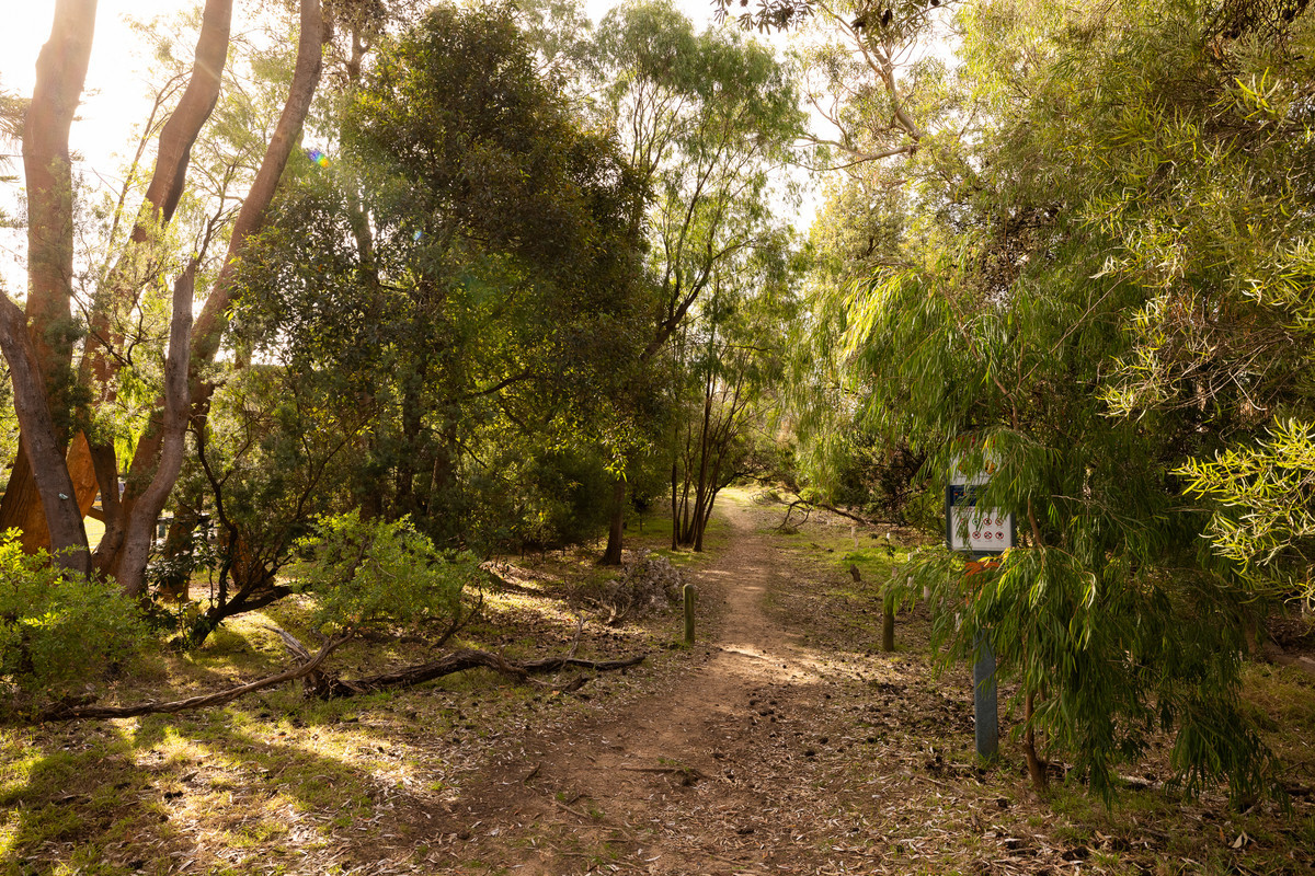 7 Shearwater Drive, Silverleaves VIC 3922, Silverleaves - Thumbnail 5