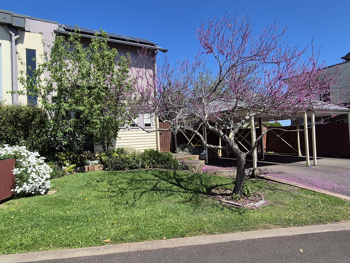 10 / 34 Smith Street, Daylesford VIC 3460, Daylesford - Thumbnail 2
