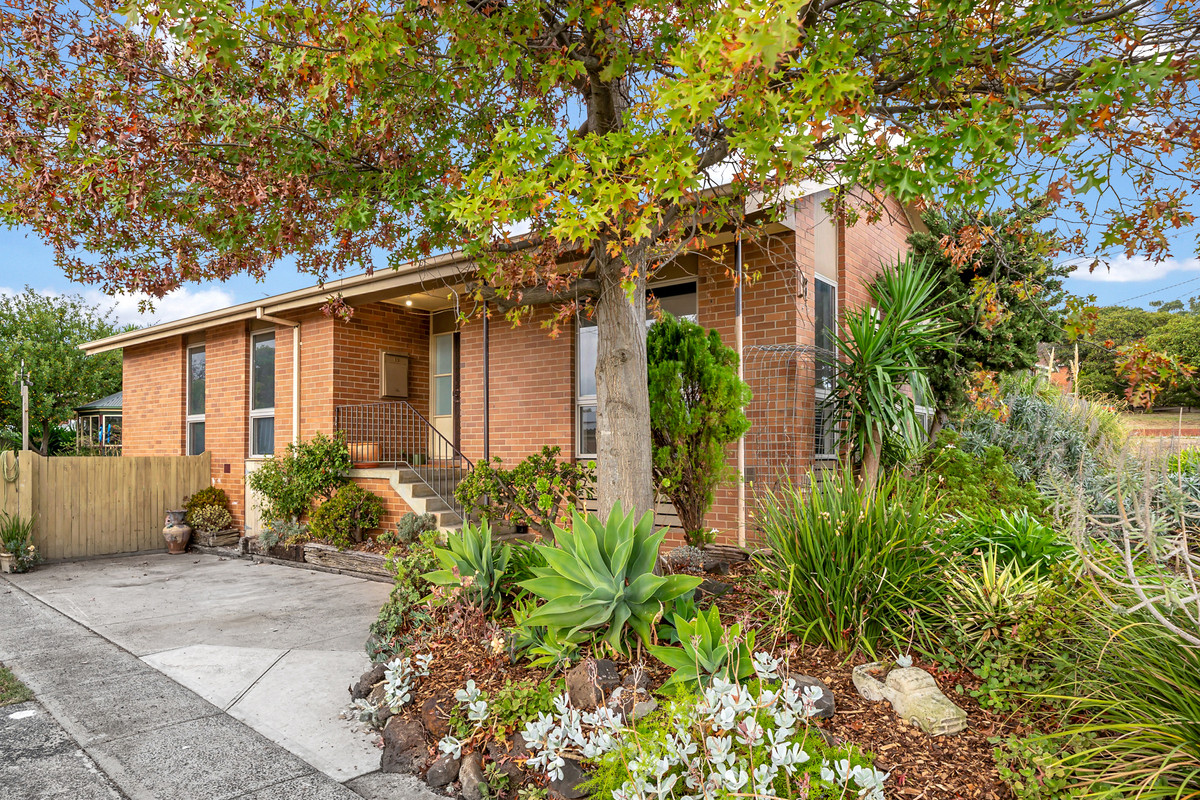 87 Cuthbert Street, Broadmeadows VIC 3047, Broadmeadows - Thumbnail 6