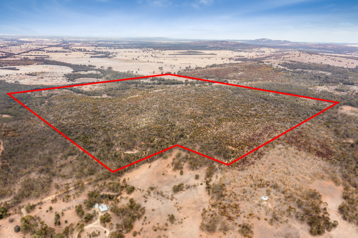 Lot 9 / Sec 15 Mitchell Lane, Wedderburn VIC 3518, Wedderburn - Thumbnail 2