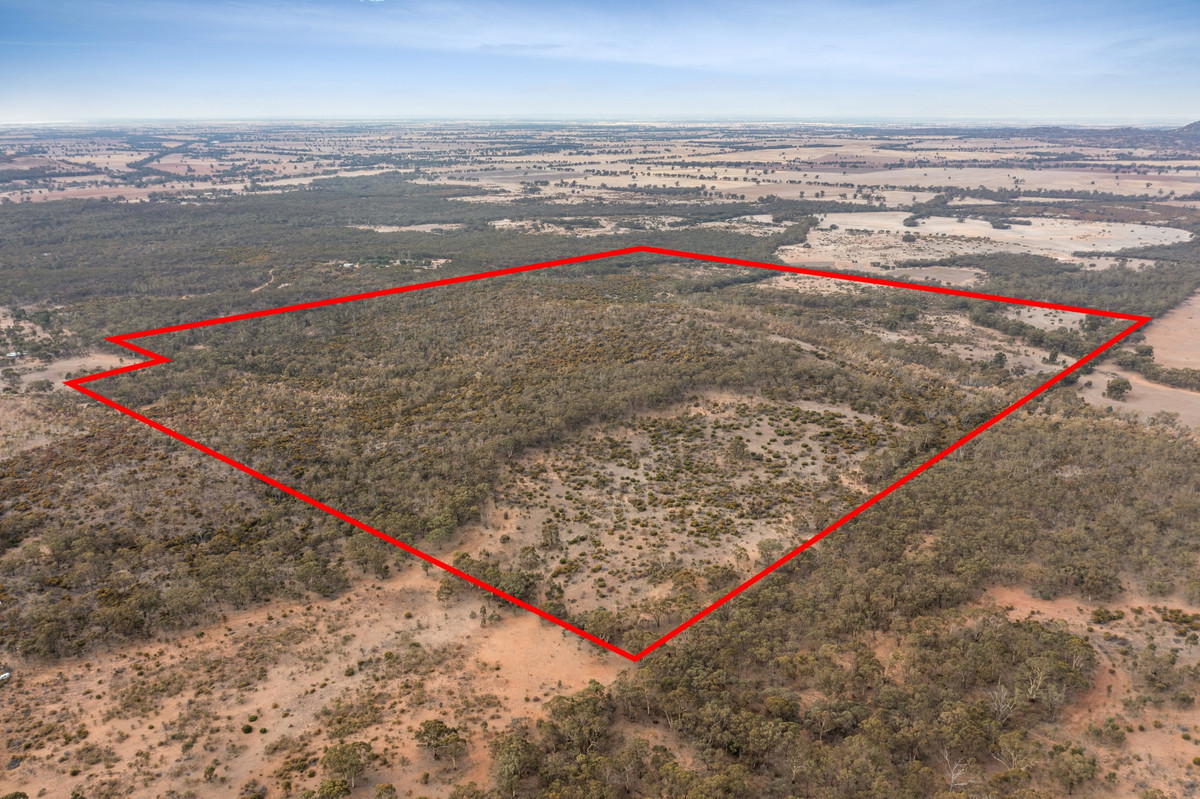 Lot 9 / Sec 15 Mitchell Lane, Wedderburn VIC 3518, Wedderburn - Image 1
