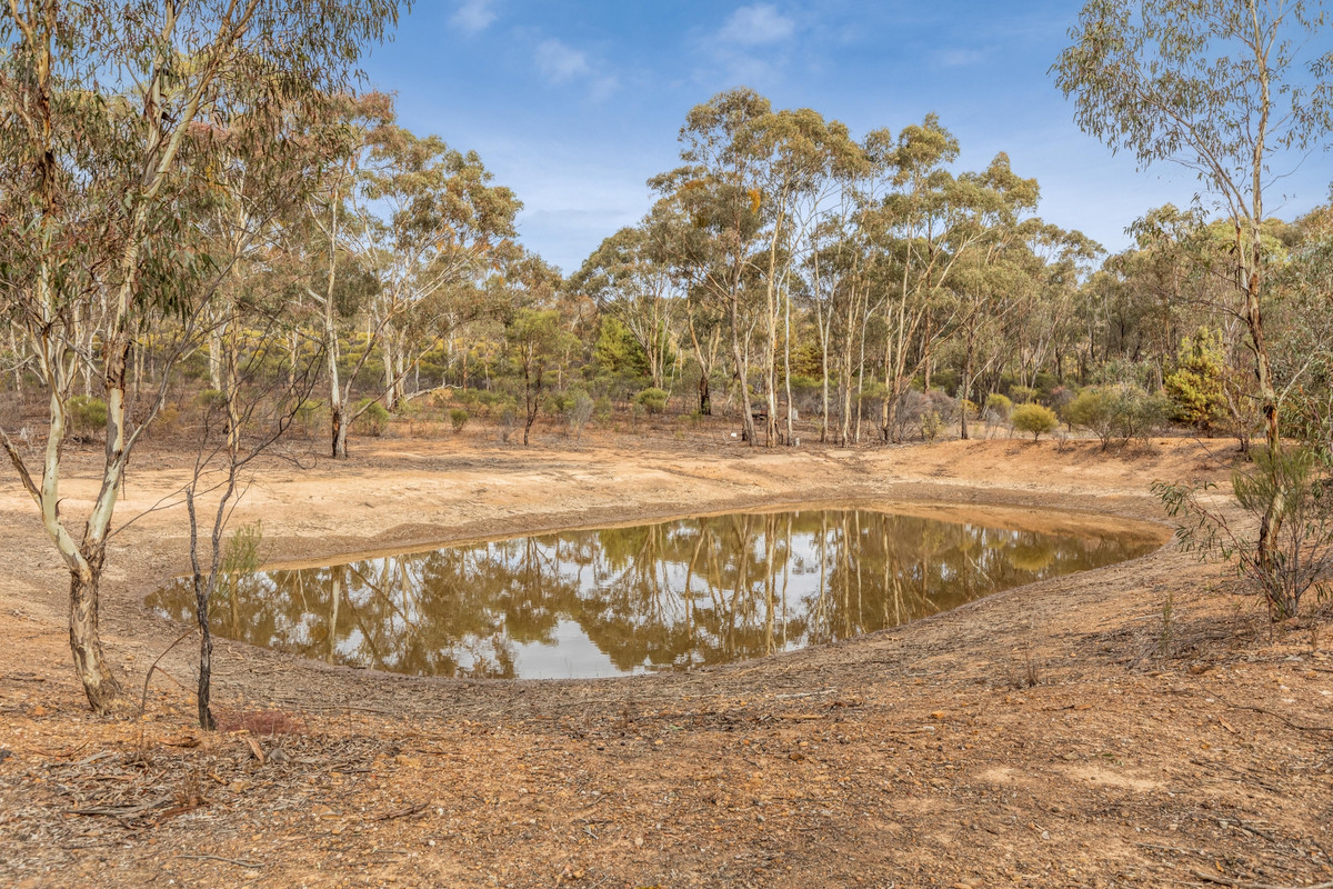 Lot 9 / Sec 15 Mitchell Lane, Wedderburn VIC 3518, Wedderburn - Thumbnail 3