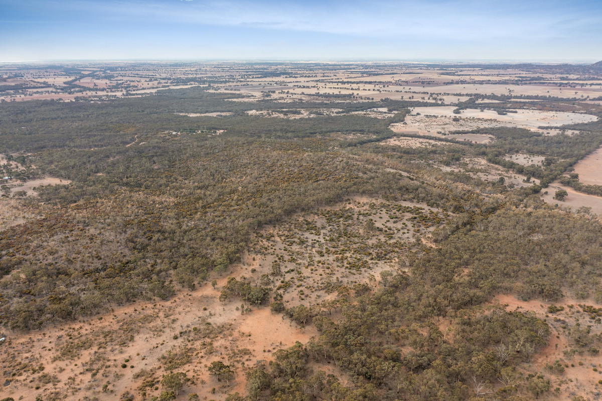Lot 9 / Sec 15 Mitchell Lane, Wedderburn VIC 3518, Wedderburn - Thumbnail 4