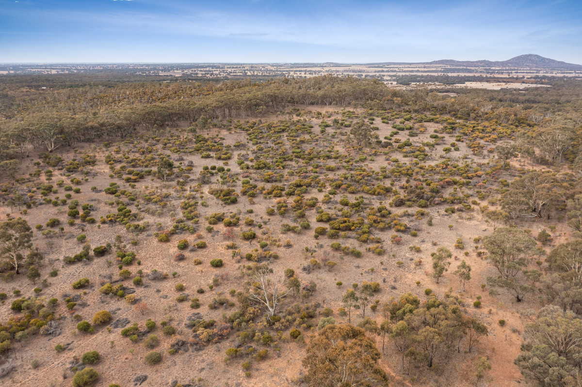 Lot 9 / Sec 15 Mitchell Lane, Wedderburn VIC 3518, Wedderburn - Thumbnail 5