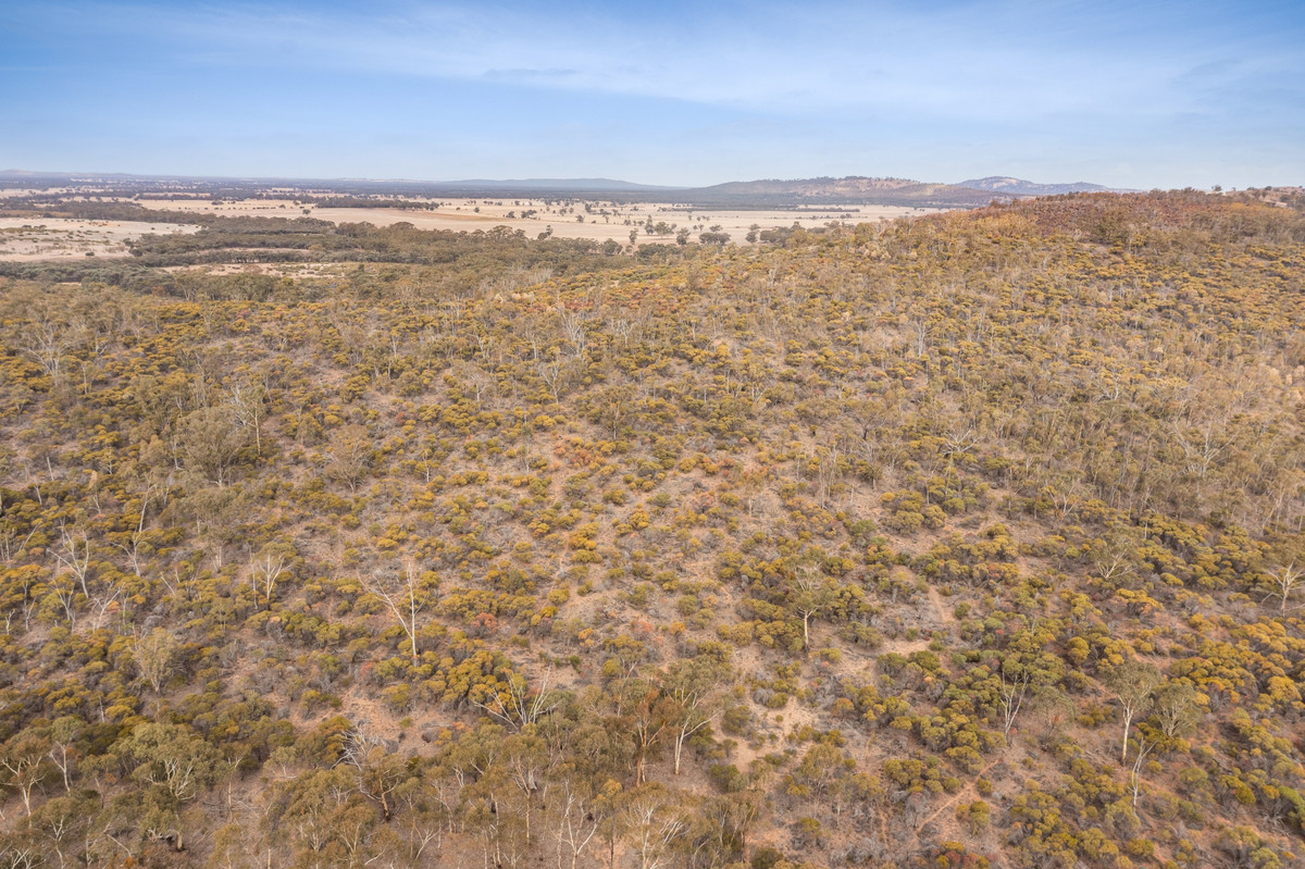 Lot 9 / Sec 15 Mitchell Lane, Wedderburn VIC 3518, Wedderburn - Thumbnail 7