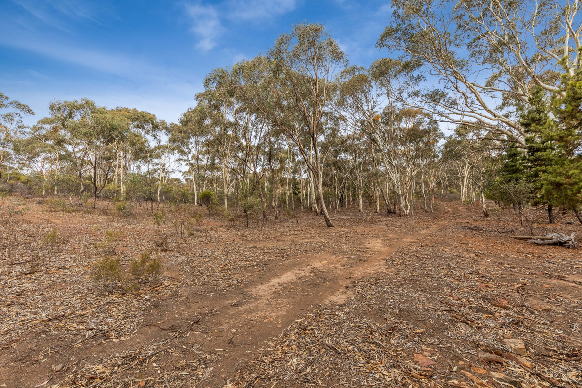 Lot 9 / Sec 15 Mitchell Lane, Wedderburn VIC 3518, Wedderburn - Thumbnail 8