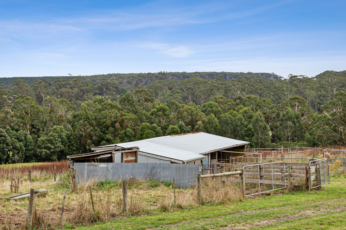 44 Wallaces Road, Barwon Downs VIC 3243, Barwon Downs - Thumbnail 7