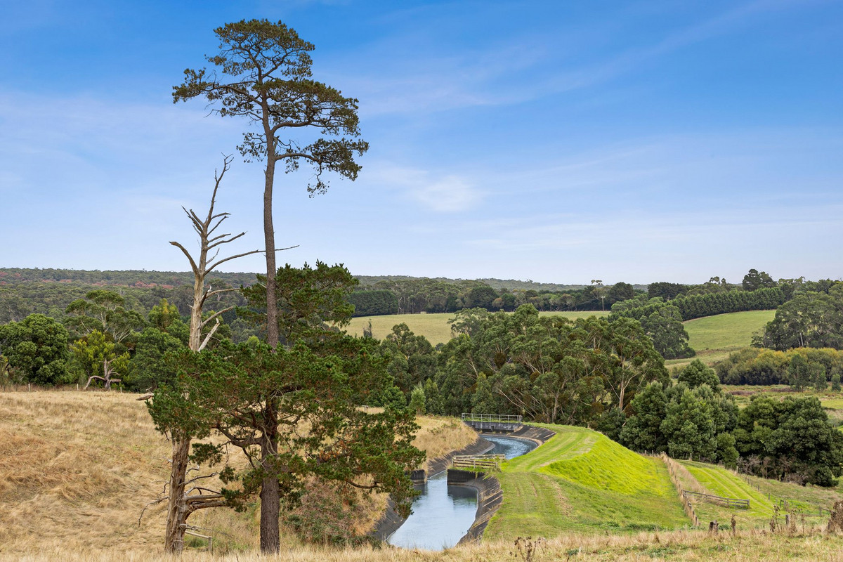 44 Wallaces Road, Barwon Downs VIC 3243, Barwon Downs - Thumbnail 8