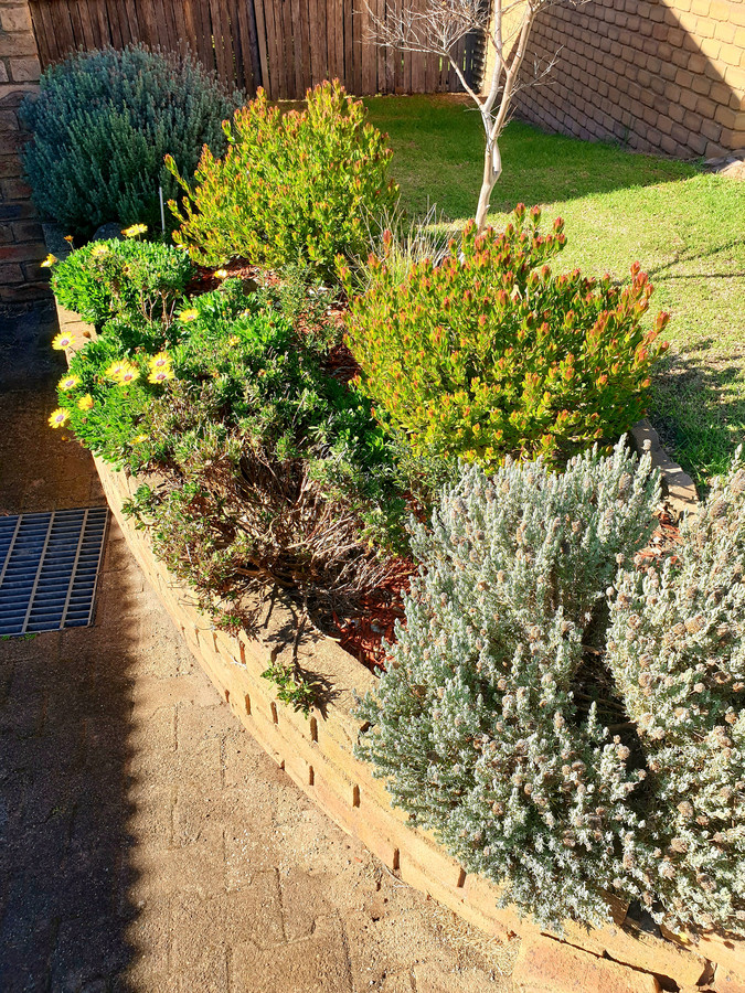 3 / 4-6 Kermond Court, Warrnambool VIC 3280, Warrnambool - Thumbnail 5