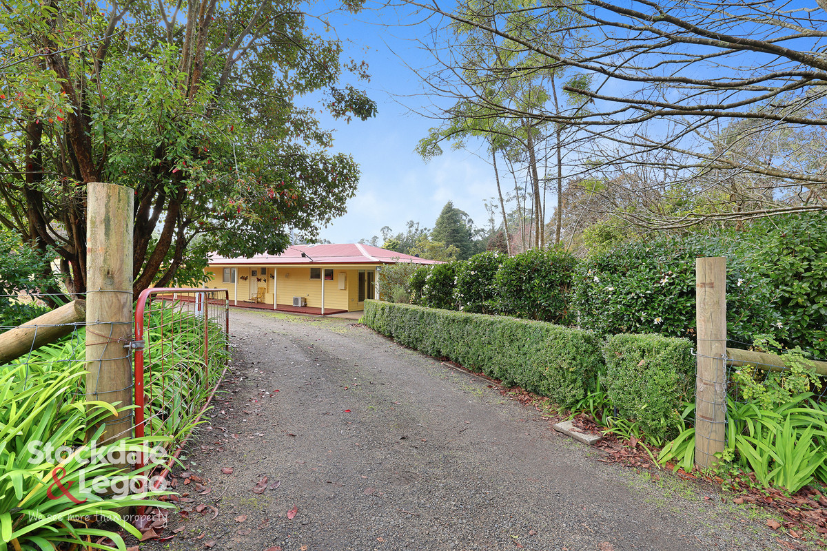 10 Galvins Road, MIRBOO NORTH VIC 3871, Mirboo North - Image 1