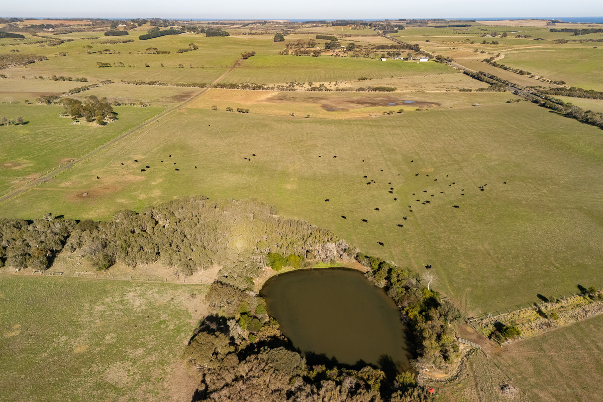 285 Ventnor Road, Ventnor VIC 3922, Ventnor - Thumbnail 3