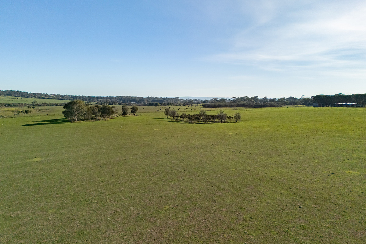 285 Ventnor Road, Ventnor VIC 3922, Ventnor - Thumbnail 5