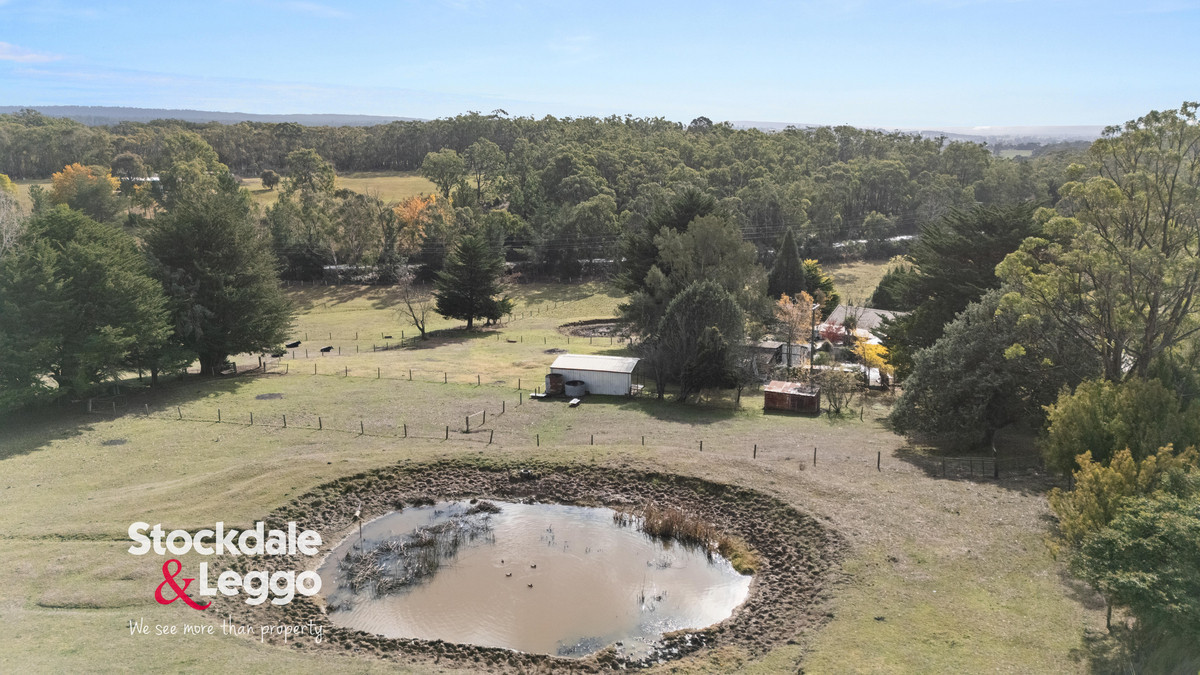 20 Halls Road, Boolarra VIC 3870, Boolarra - Thumbnail 5