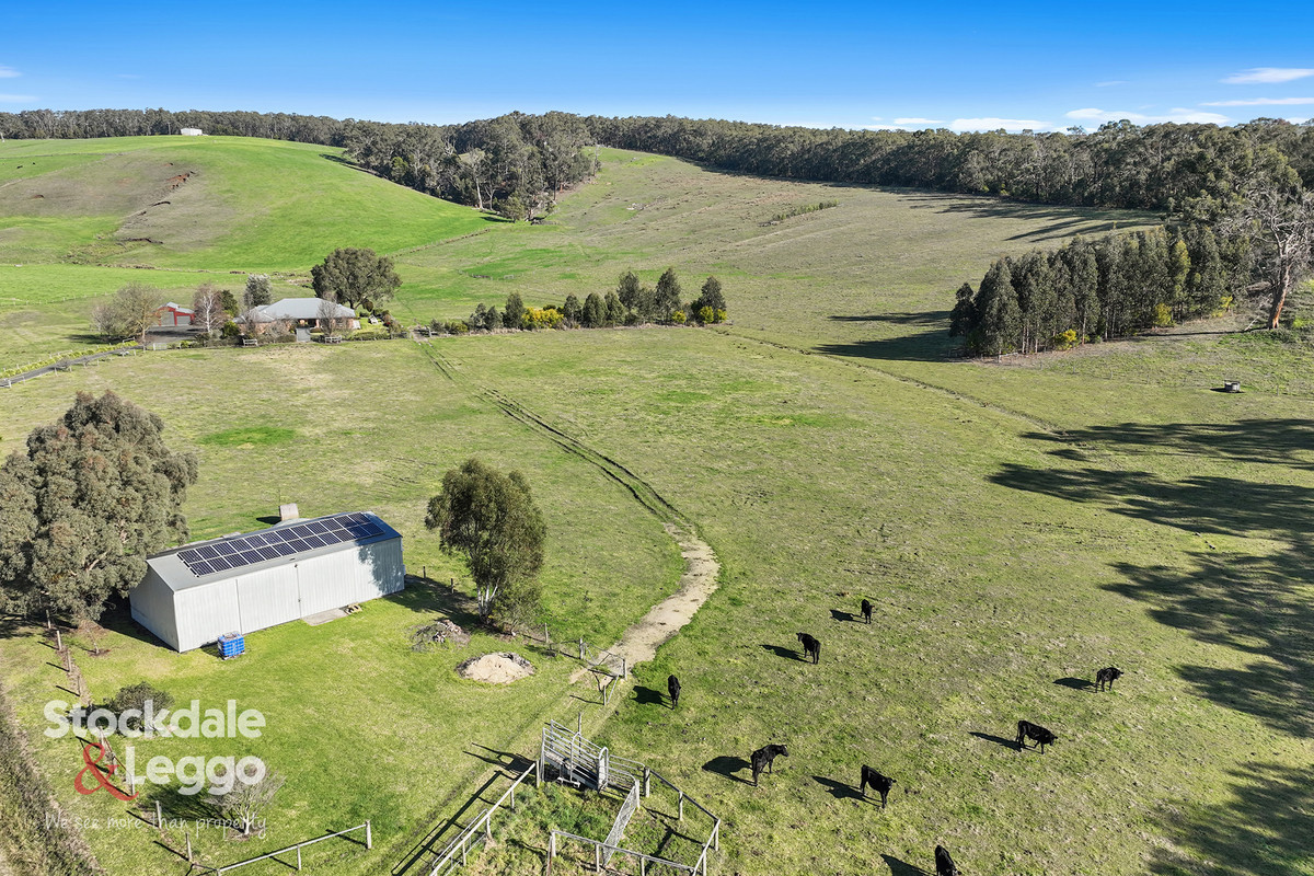 30 Morwell River Road, Boolarra VIC 3870, Boolarra - Thumbnail 3