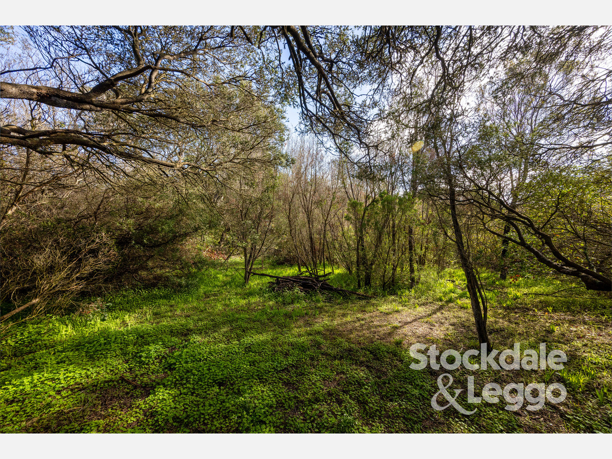 69-75 Minnimurra Road, Rye VIC 3941, Rye - Thumbnail 3