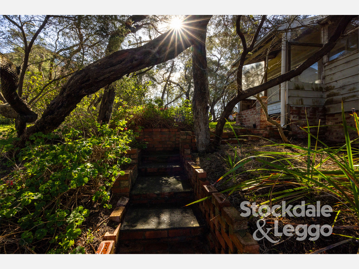 69-75 Minnimurra Road, Rye VIC 3941, Rye - Thumbnail 6