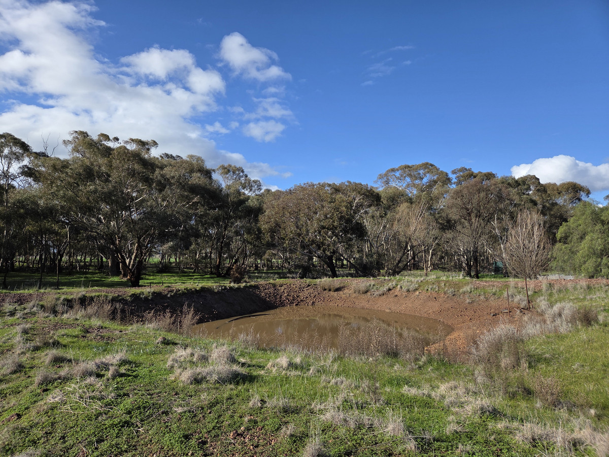 12 Miller Street, Neilborough VIC 3570, Neilborough - Thumbnail 7