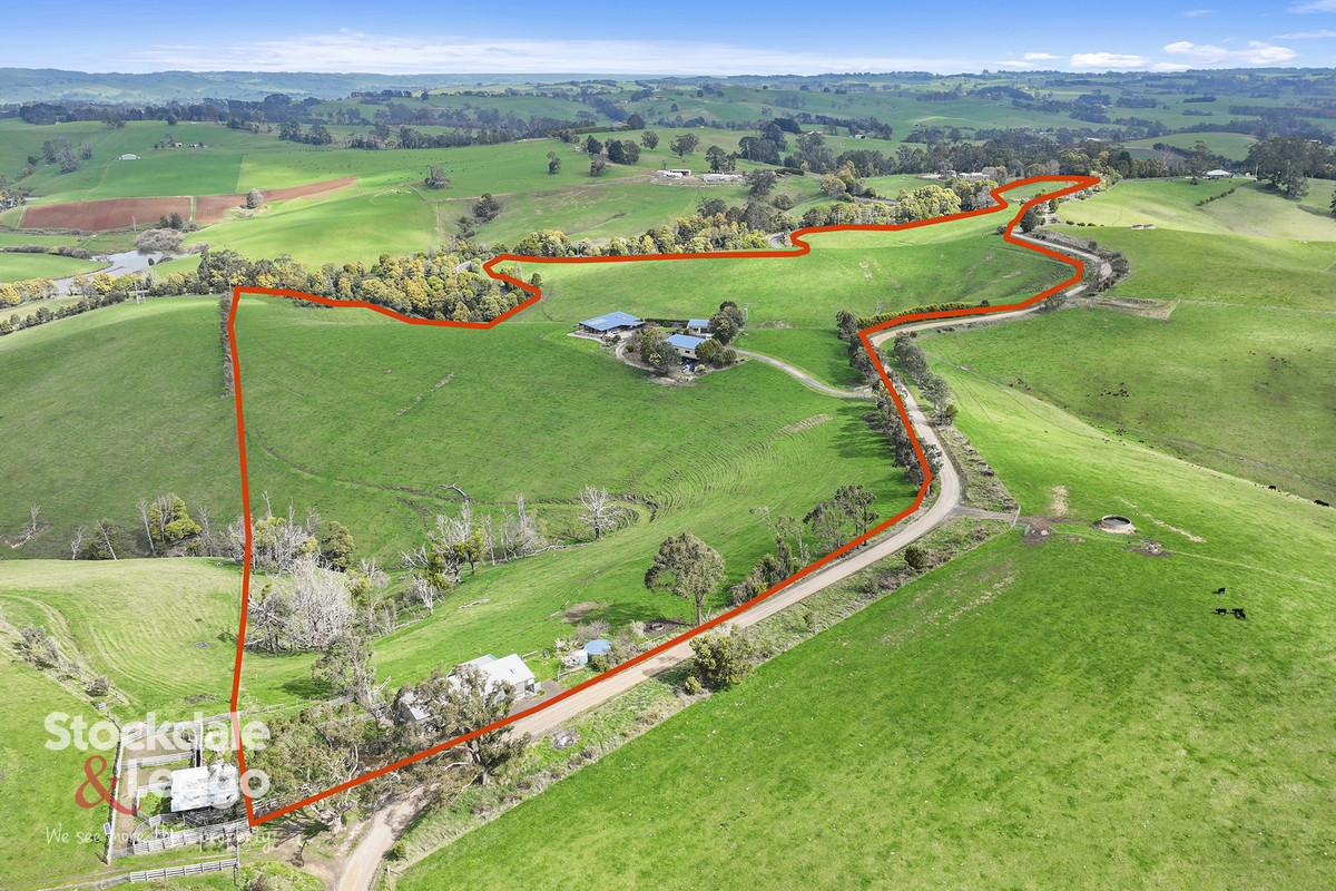 156 Sheens Road, Mirboo North VIC 3871, Mirboo North - Thumbnail 4