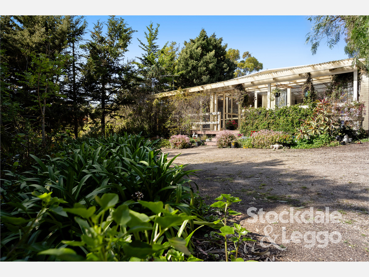 431-435 Browns Road, Rye VIC 3941, Rye - Thumbnail 2