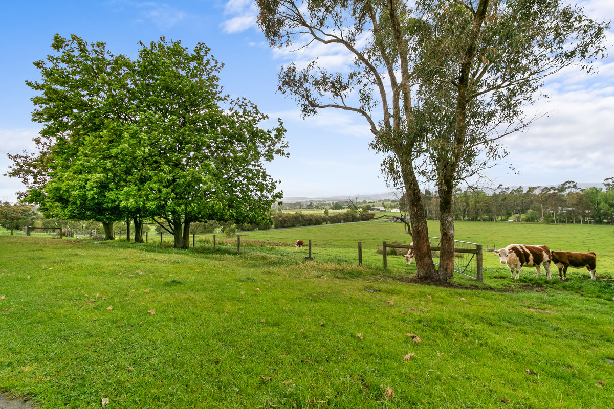 15 Mulga Road, Hazelwood North VIC 3840, Hazelwood North - Image 1