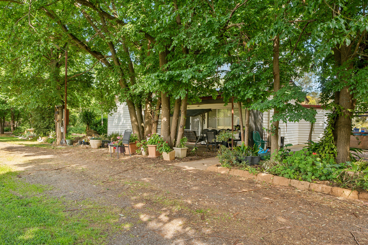 4432 Barmah-Shepparton Road, Bunbartha VIC 3634, Bunbartha - Thumbnail 6