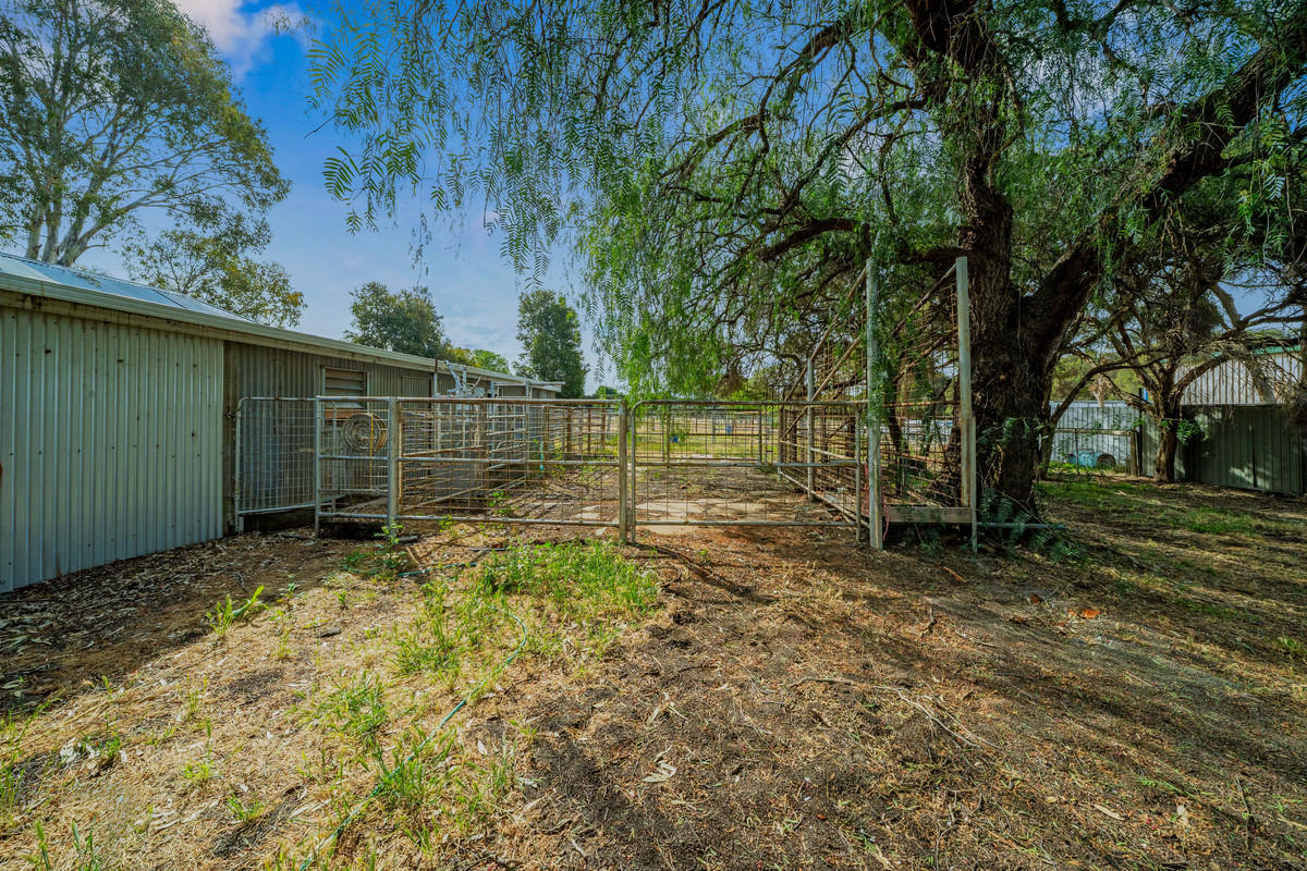 4432 Barmah-Shepparton Road, Bunbartha VIC 3634, Bunbartha - Thumbnail 4
