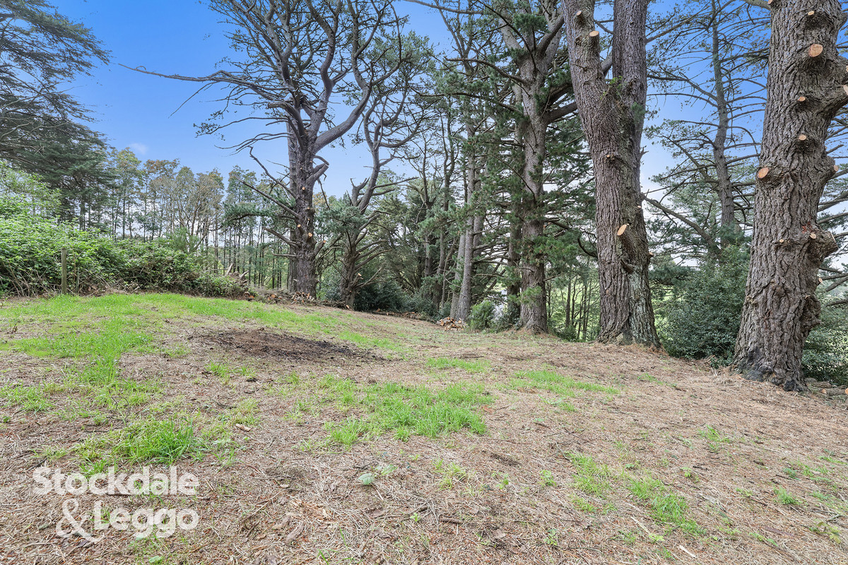 1455 Grand Ridge Road, Trida VIC 3953, Trida - Thumbnail 2