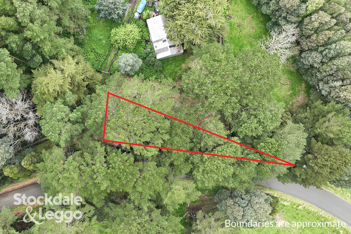 1455 Grand Ridge Road, Trida VIC 3953, Trida - Thumbnail 3