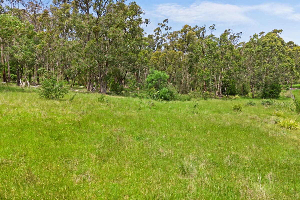 Lot 1 / 567 Jumbuk Road, Yinnar South VIC 3869, Yinnar South - Thumbnail 4