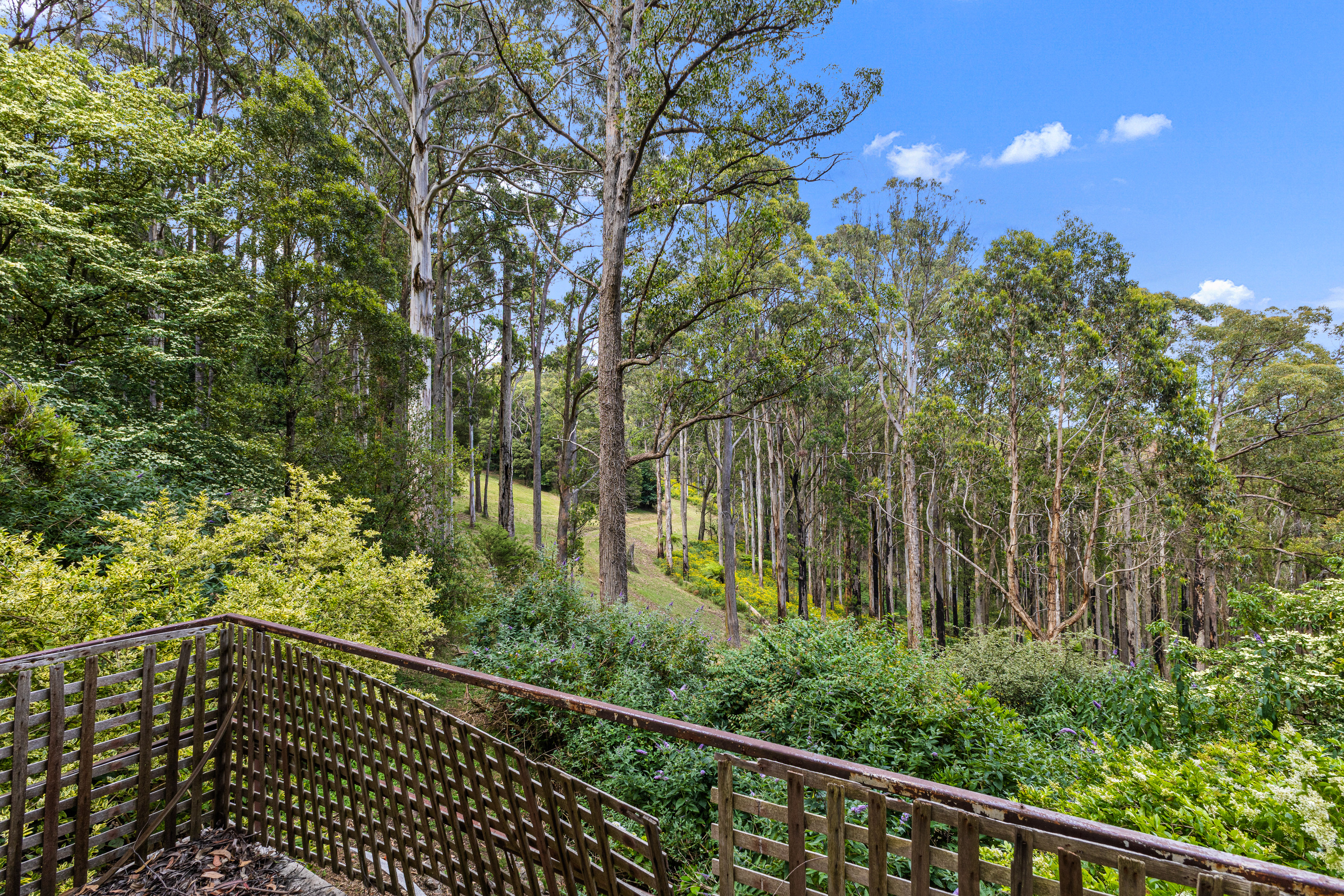 24 Nicholson Street, Olinda VIC, Olinda - Thumbnail 7