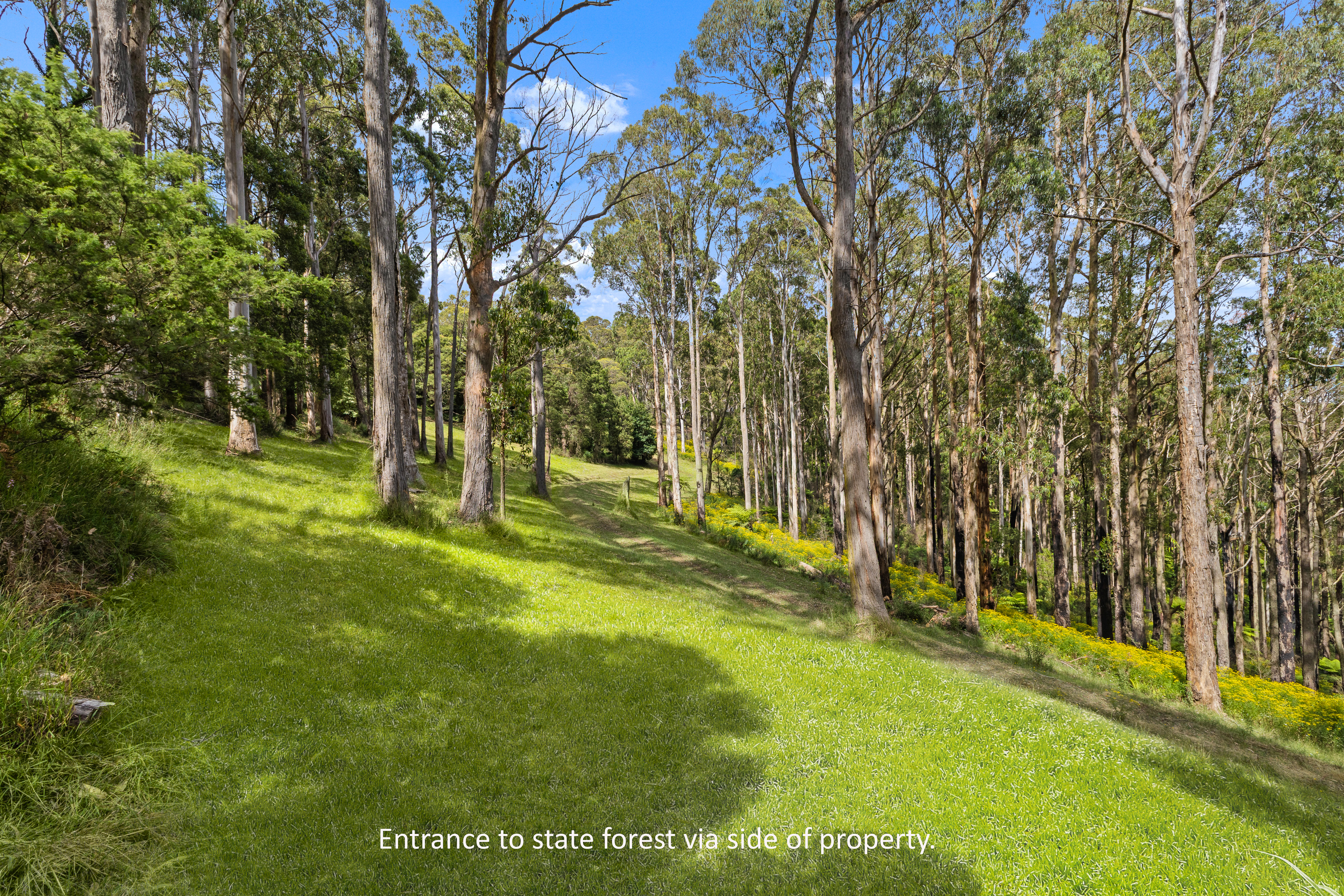 24 Nicholson Street, Olinda VIC, Olinda - Thumbnail 4