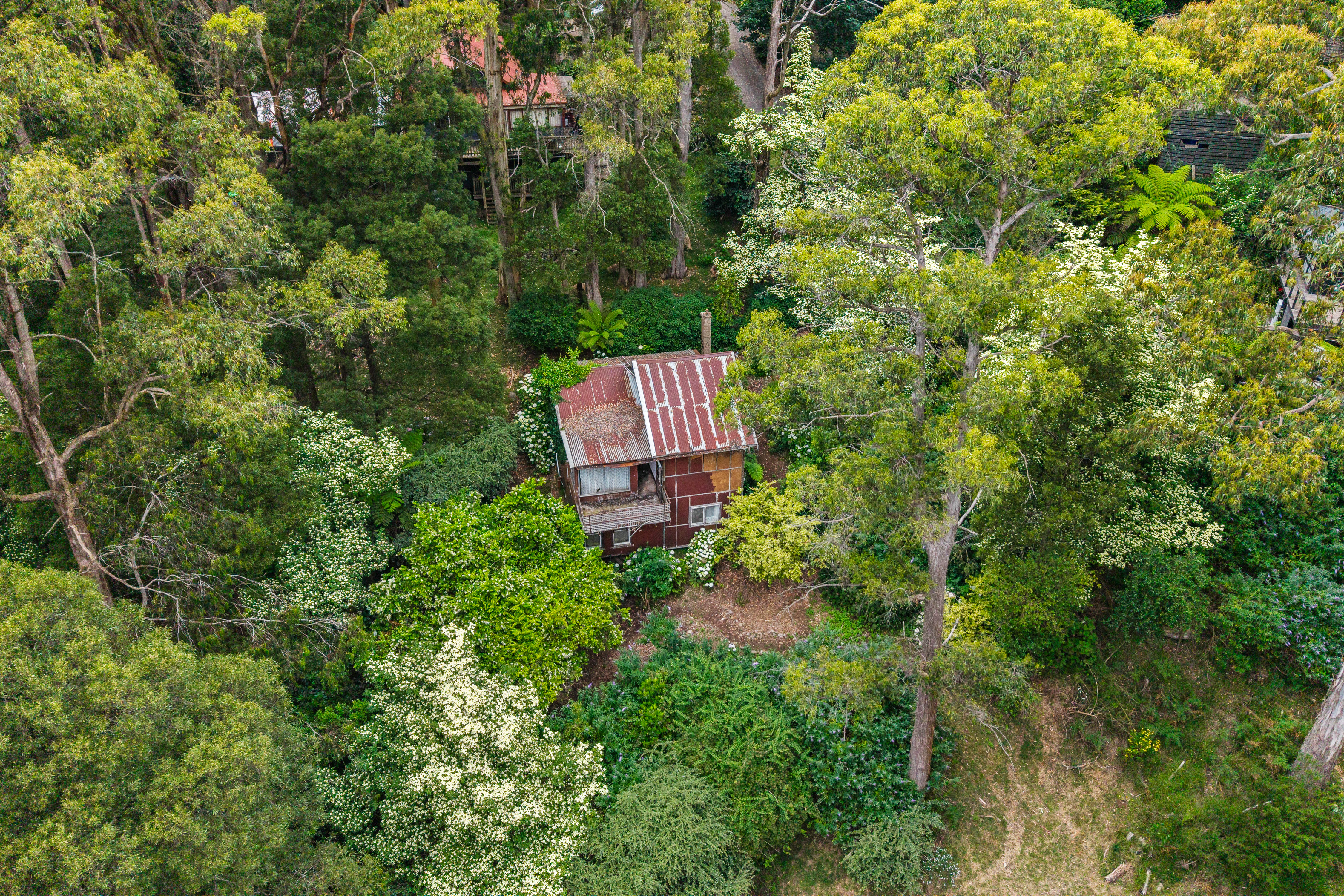 24 Nicholson Street, Olinda VIC, Olinda - Thumbnail 3