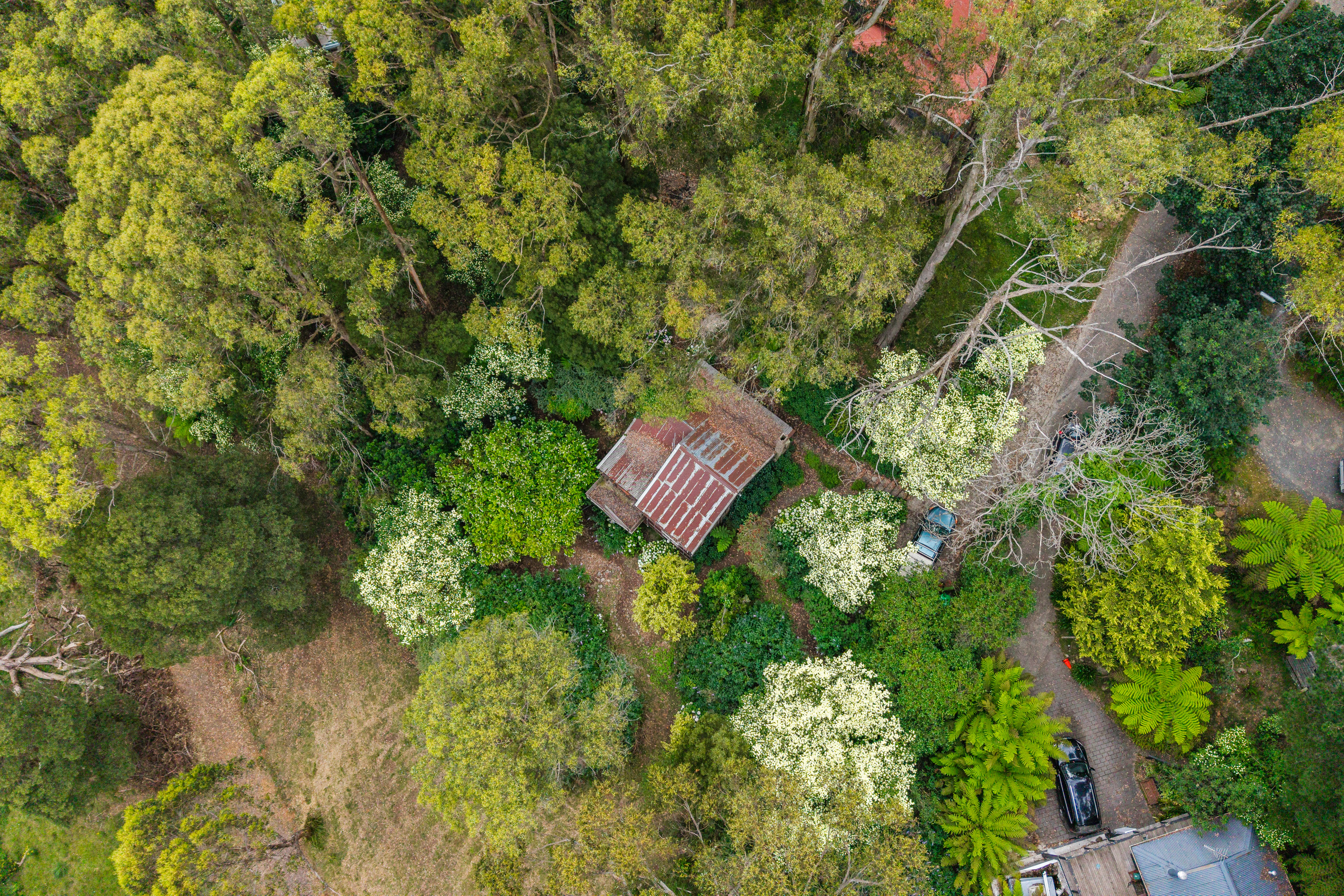 24 Nicholson Street, Olinda VIC, Olinda - Thumbnail 6