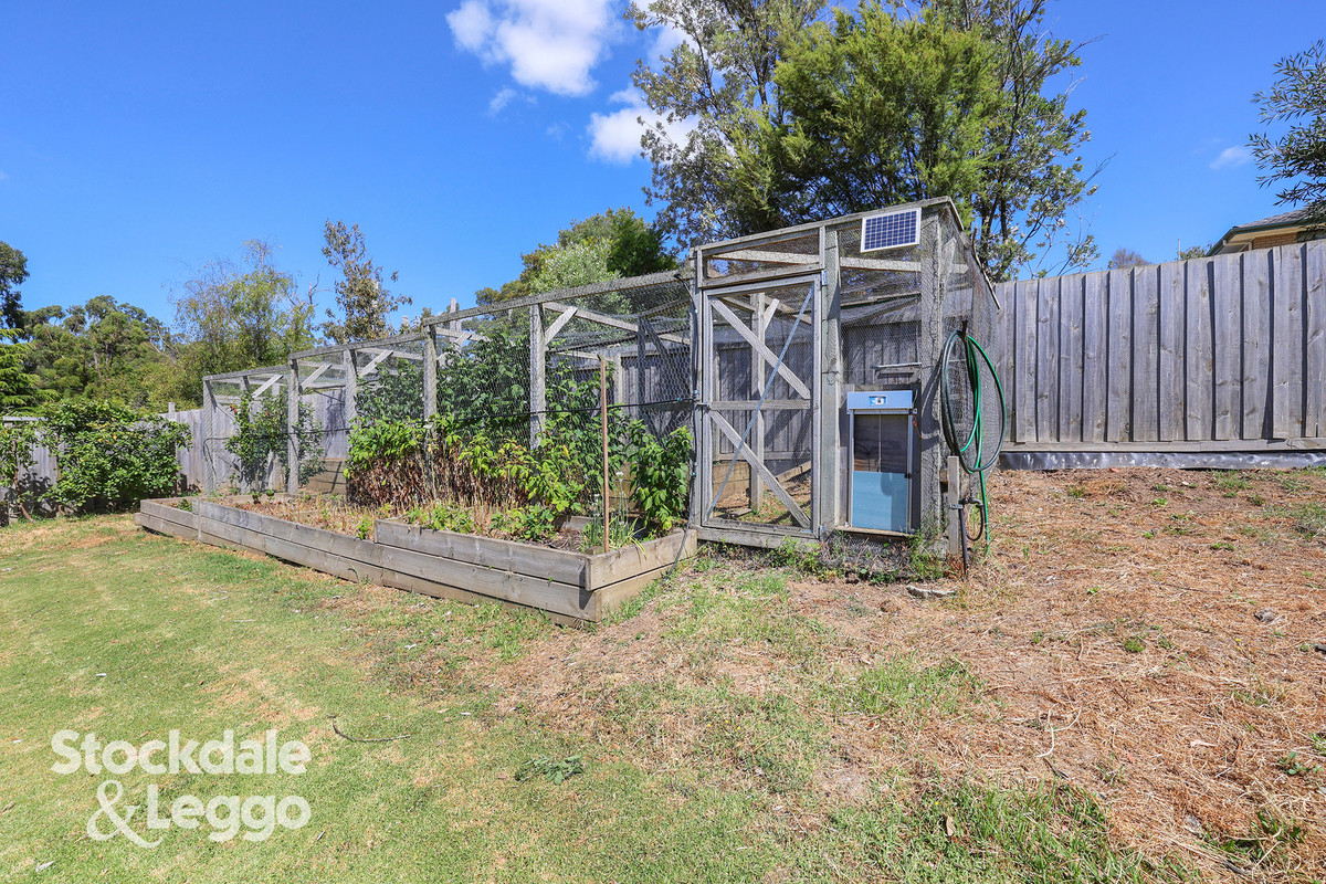 22 Allen Street, MIRBOO NORTH VIC 3871, Mirboo North - Thumbnail 6