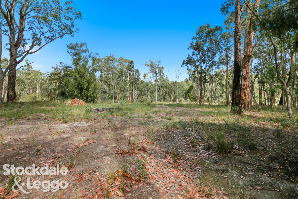 Lot 6 Foster Road, Boolarra VIC 3870, Boolarra - Thumbnail 3